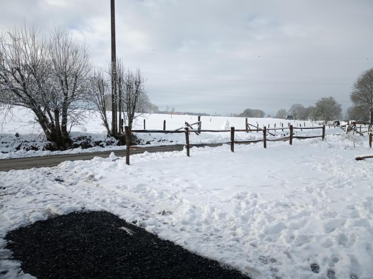 gîte Le cheval ardennais Gouvy Buitenkant foto